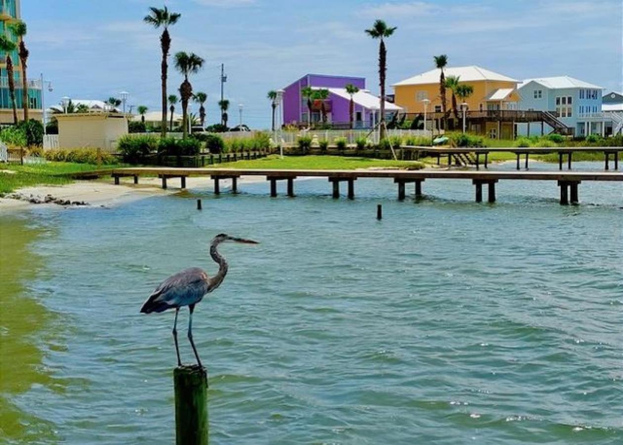Summer House West B103 Gulf Shores Exterior foto